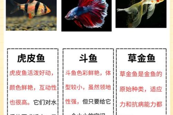 养花养鱼的人是什么命？揭示花与鱼的命理秘密！