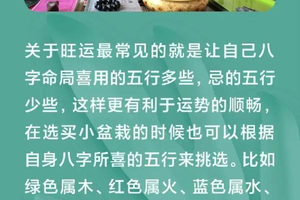 木命之人适合开门的方位探讨，打造和谐美好生活