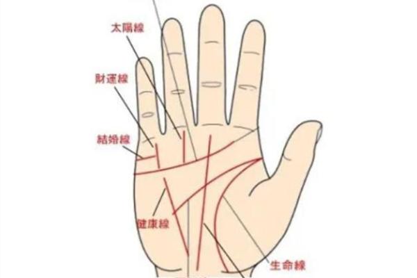 没有掌纹的命理解析：未卜先知的人生轨迹与潜能发掘