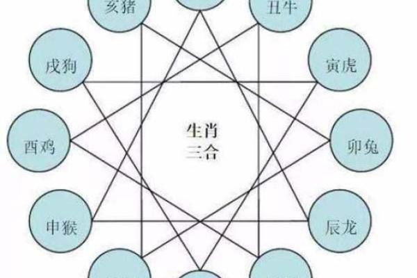 1996年属鼠人的命运与性格解析：揭开神秘的生肖面纱