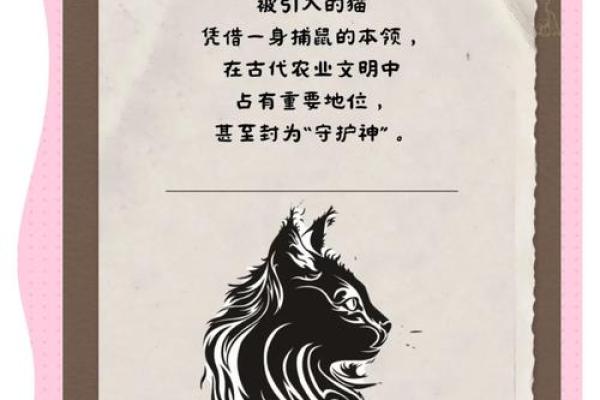 猫咪为何有“九条命”？探索小猫神秘传说的背后故事