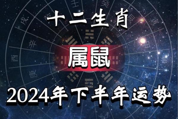 2020年属鼠的人运势解析及生活建议，让你迎接精彩人生！