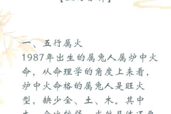 2018年属虎的命运与运势分析：八字解读与生活指南