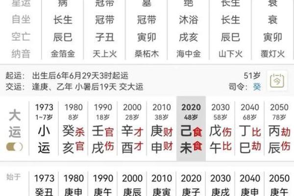 2018年属虎的命运与运势分析：八字解读与生活指南