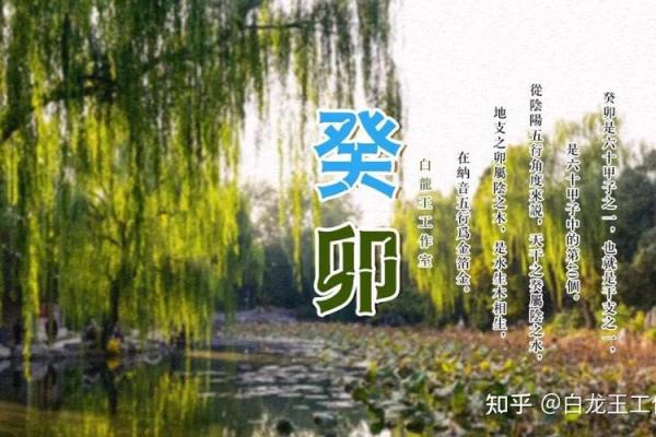 1993年3月24日出生的人命运揭秘与人生建议