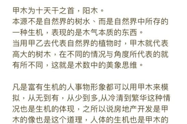 甲木命：探索属于你的命理启示与人生智慧