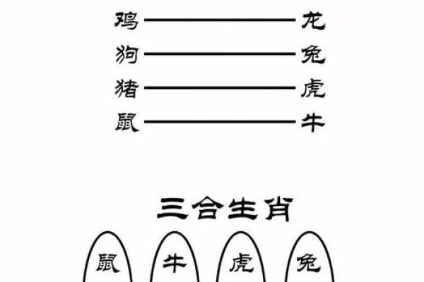 探寻1943年农历属相命理：寻觅属于你的命之奥秘