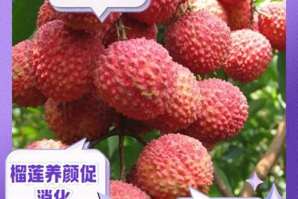 你喜欢什么水果？揭示你的性格与命运！