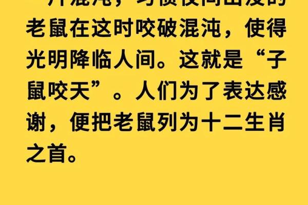 鼠鼠腊月生人的命运解析：探寻个性与命理的奥秘