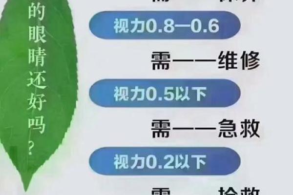 天天有眼的人是什么命？探索生活中的观察与启迪