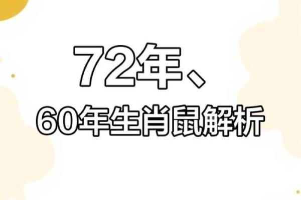 1996年男鼠命运解析：探索命理与人生智慧的结合