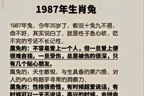 1983属兔人的命运分析与人生智慧探讨
