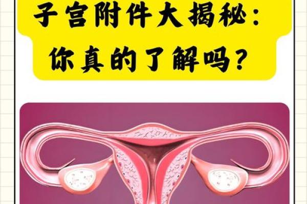揭秘！哪些命格的人易于中奖，快速揭开幸运的面纱！