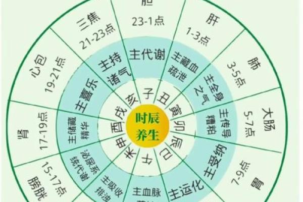 午出生的男孩命运解析：五行八字与人生理想的契合之路
