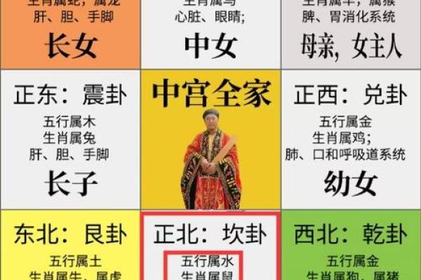 1996年鼠年人命运与火命的深度解析