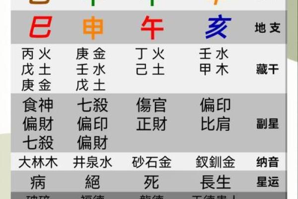 右手肺脾命的命：探寻命理的奥秘与价值观