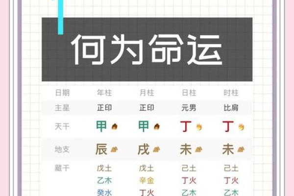 右手肺脾命的命：探寻命理的奥秘与价值观