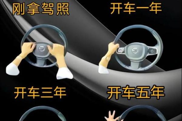 适合开汽车的命格解析：掌握命理，驶向人生新篇章