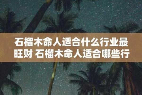 石榴木命人的职业选择与发展方向指南