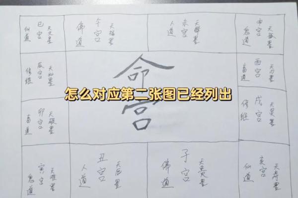 运气一新兴隆之命：如何赋予生活更多机会与可能性