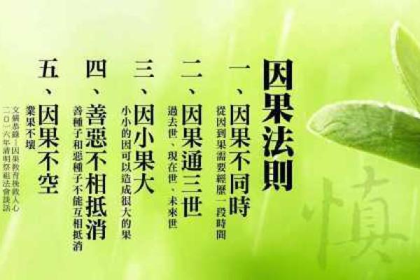 佛教视野中的“命”：人生之路与因果的交汇点