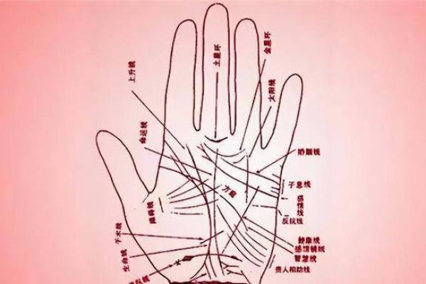 揭示命运的秘密：手相学解析命最好的人生轨迹