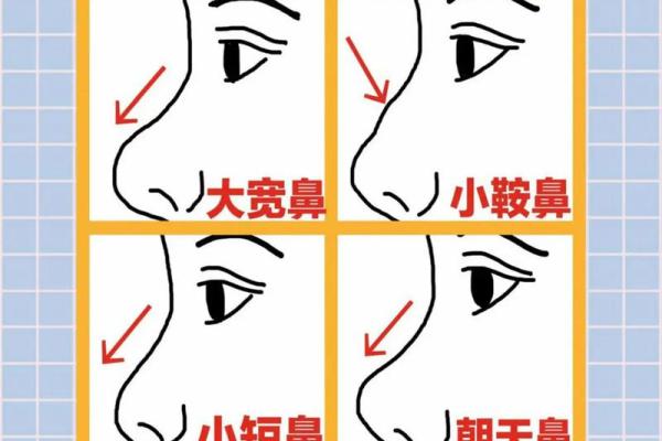 高鼻男人的命运解析：外貌与命运之间的微妙关系