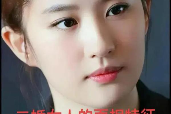 解密《算你命的女人》：她们隐藏的性格特征与魅力所在