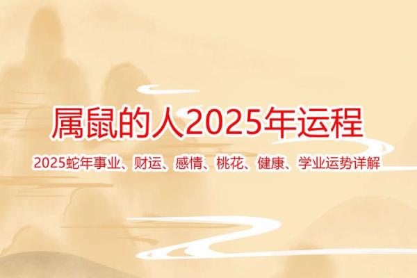 2022年属鼠人命理解析：特点、运势与发展潜力