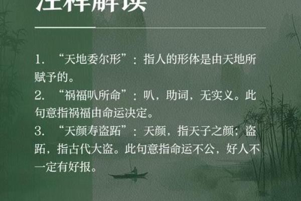 1999年：庚寅年与命运之探索，解读人生的指引