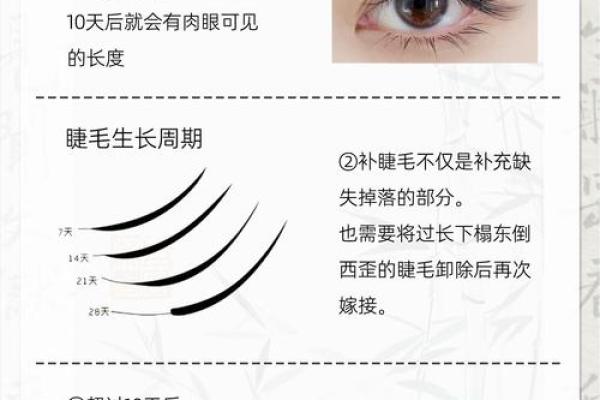 睫毛的长度与命运：你不知道的秘密！