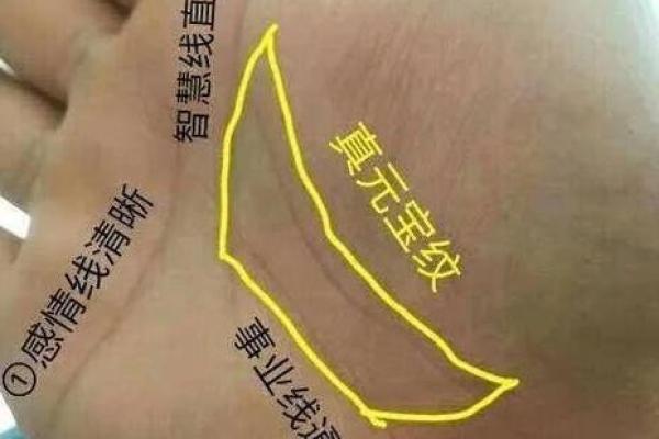 从手相学看男孩命格：揭秘未来潜力与个性特征