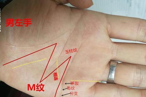 从手相学看男孩命格：揭秘未来潜力与个性特征