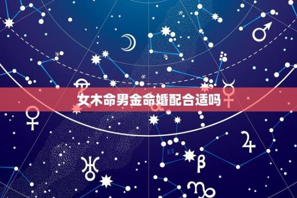 平地木命的饰品选择：与自然亲密相连的魅力之旅