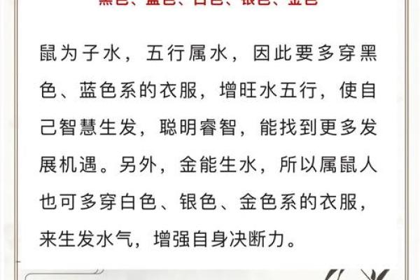 如何通过十二生肖了解鼠的命运与性格特征