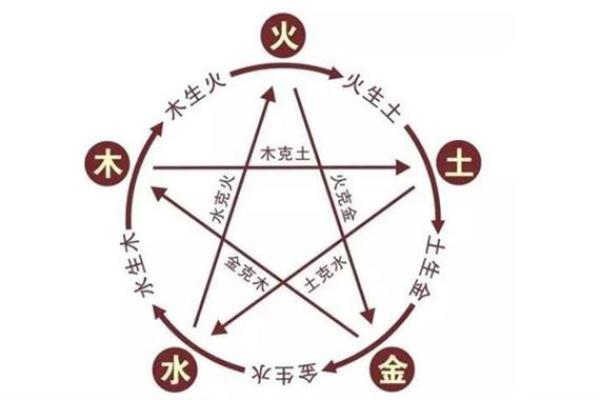 水命猪与土命蛇的相克关系解析，拆解命理奥秘！