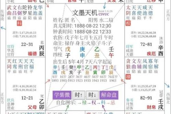 探寻禄存入命的深层含义与重要性