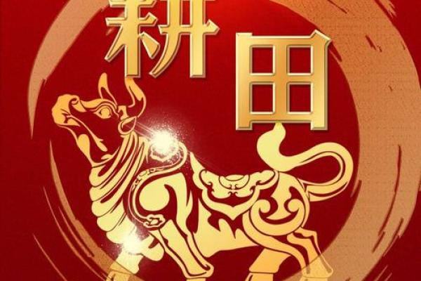 1997年牛年出生的人：坚持与努力的典范