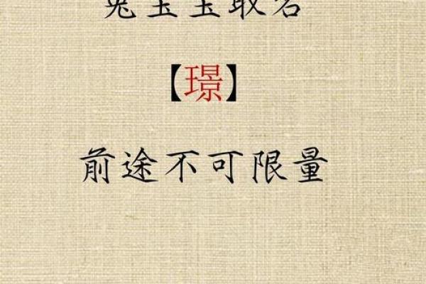 2013年兔年：命理解析与生活启示