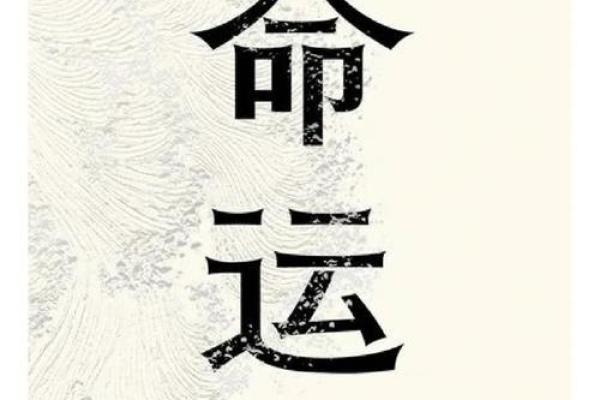 2013年兔年：命理解析与生活启示