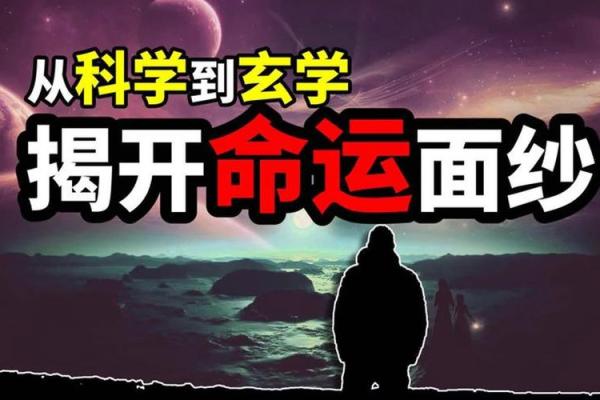 72岁属什么命？揭开命运的神秘面纱！