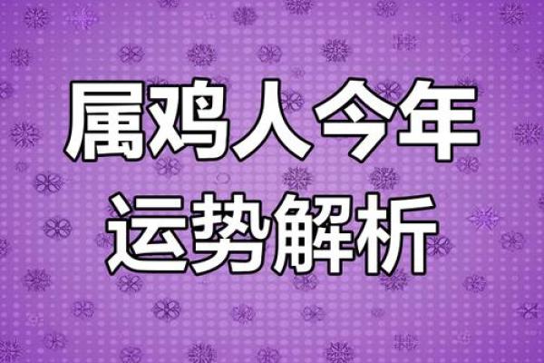 2015年属鸡者的命运解析：如何把握机遇与挑战