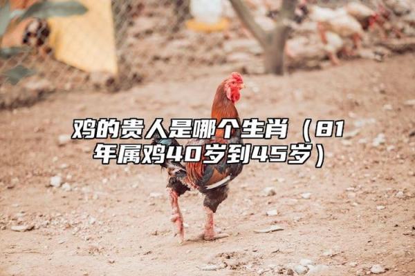 2015年属鸡者的命运解析：如何把握机遇与挑战