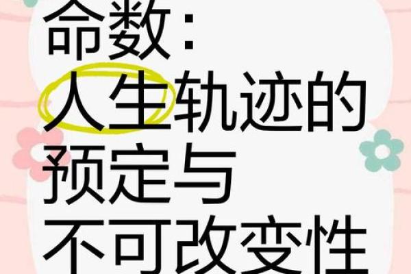 探秘命理：命局解读与人生轨迹的奥秘