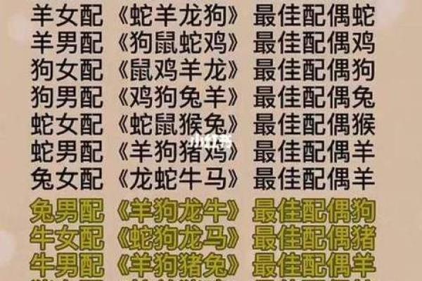 六九年属猪人的命运解析：财富、爱情与未来