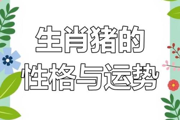 1995年出生的猪年命，属猪人的命运与性格解析