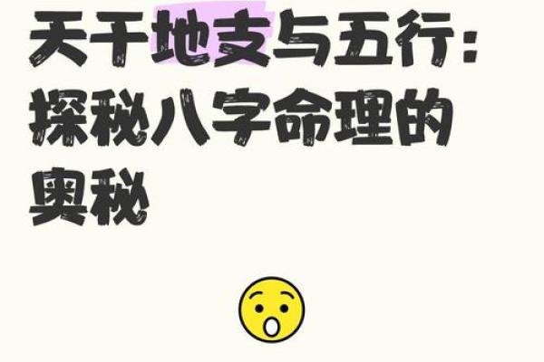 玄不改命：探索命理与个人努力的微妙平衡与奥秘