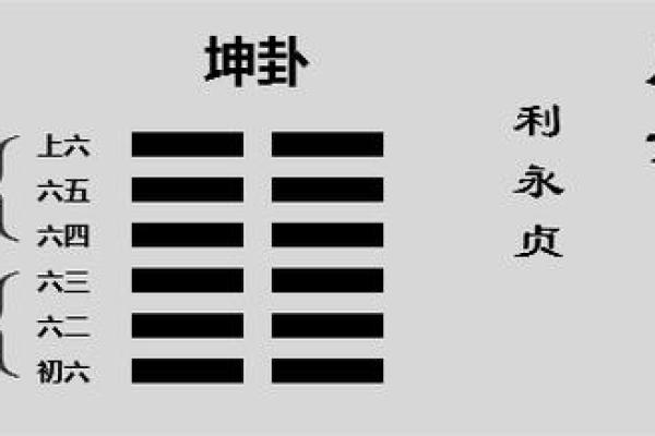 命卦西四命坤卦的深层解读与人生启示