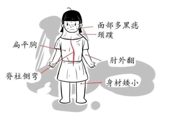 解密女人脖子的秘密：脖颈形状与命运的微妙关系