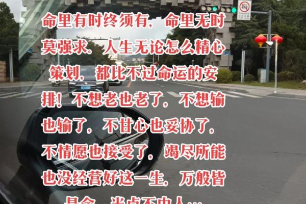 命理解析：没有土的命格对人生的深远影响与应对方法